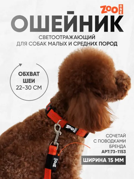 ZOOONE Ошейник для собак светоотражающий ширина 15 мм оранжевый