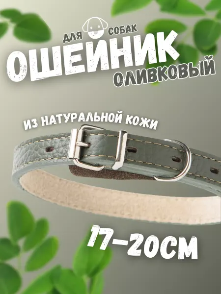 Mr.Kranch Ошейник для собак из натуральной кожи оливковый 17-20см