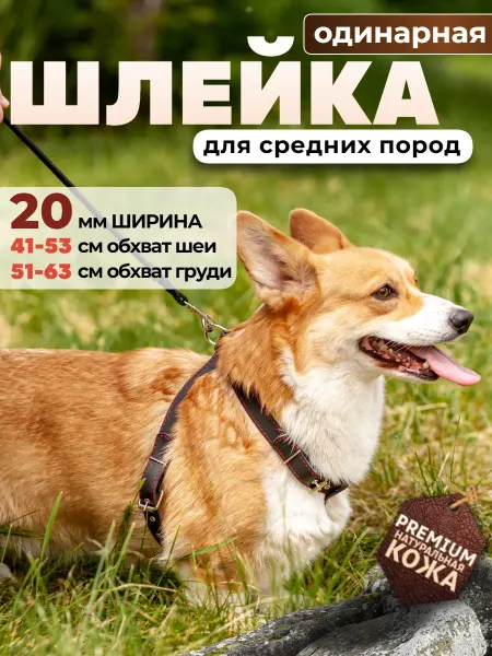 Алтайский ошейник Шлейка для собак средних пород 20 мм