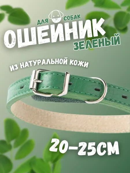 Mr.Kranch Ошейник для собак из натуральной кожи оранжевый 20-25см