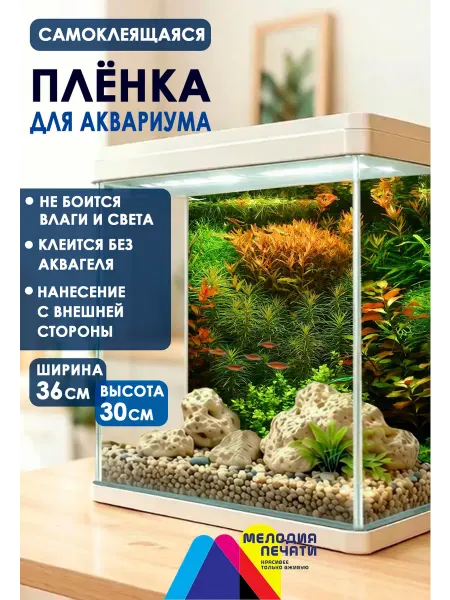 Мелодия печати Фон 36х30 см для аквариума