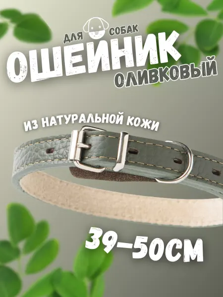 Mr.Kranch Ошейник для собак из натуральной кожи оливковый 39-50см