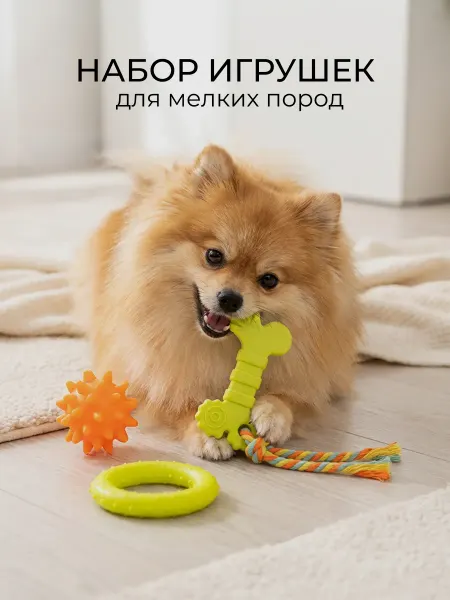 Набор игрушек для собак мелких пород 3в1