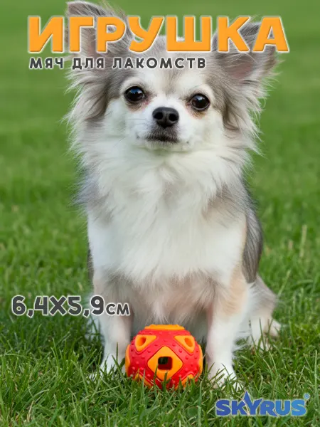 SKYRUS Мяч для лакомств для собак резиновый 6.4x6.4x5.9см
