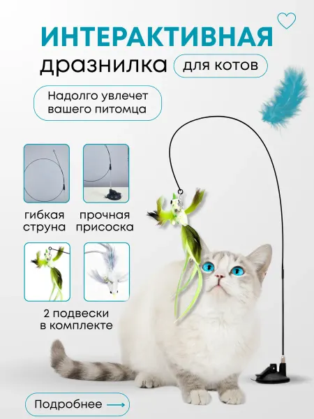 AiSiK home Игрушка для кошек и котят дразнилка интерактивная