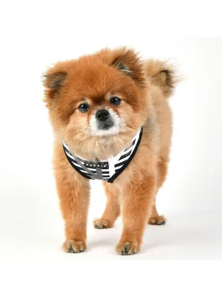 PUPPIA Шлейка для собак светоотражающая "Briton", M