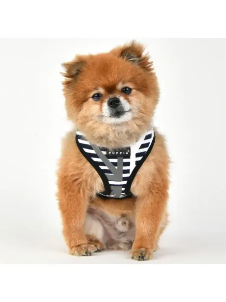 PUPPIA Шлейка светоотражающая "Briton", L