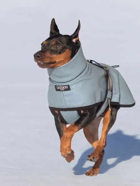 CATDOG wear Попона для собак прогулочная для мелких и средних из флиса