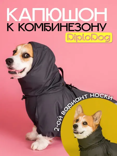 DiploDog Капюшон для Комбинезона для Корги