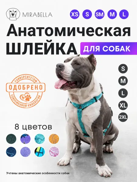 Mirabella dog store Анатомическая шлейка для собак с принтом (light blue)