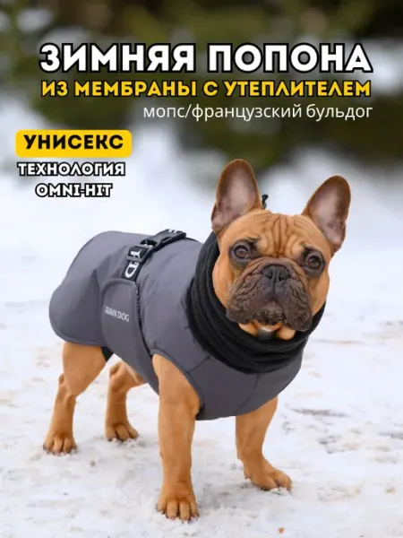 Rain Dog Попона жилет зимний для собак мопс, французский бульдог мох