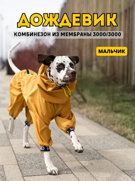 Rain Dog Комбинезон-дождевик для собак "Торнадо" мужской горчица