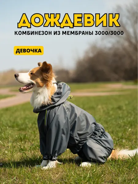 Rain Dog Комбинезон-дождевик для собак "Торнадо" мужской графит