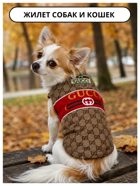 Doggishop Жилет для собак и кошек