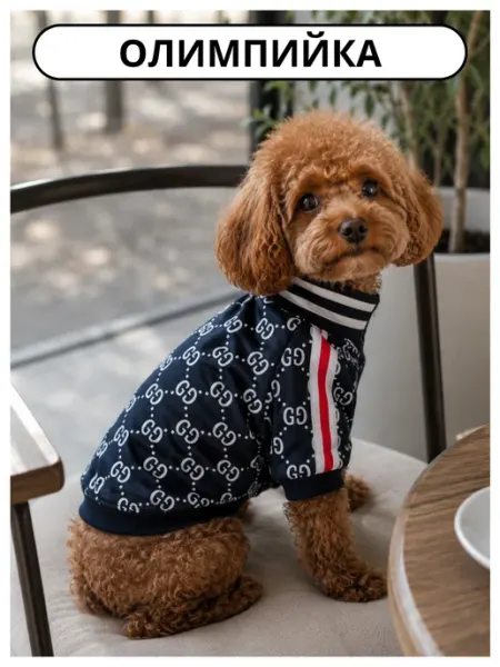 Doggishop Олимпийка для собак и кошек