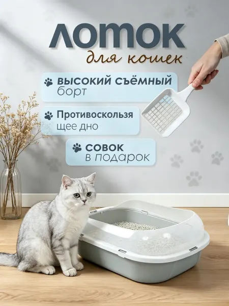Ecopet Лоток-туалет для кошек с прозрачным высоким съемным бортиком