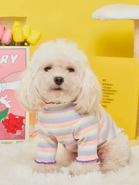 HoneyPet Футболка для собак мелких пород и кошек