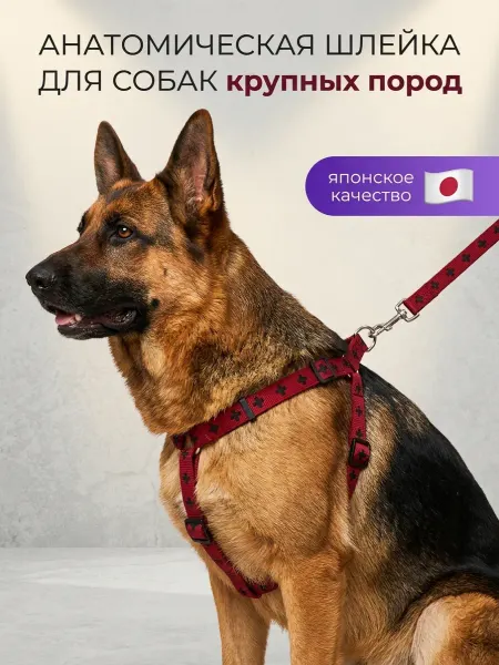 Japan Premium Pet Шлейка для собак крупных пород анатомическая размер L