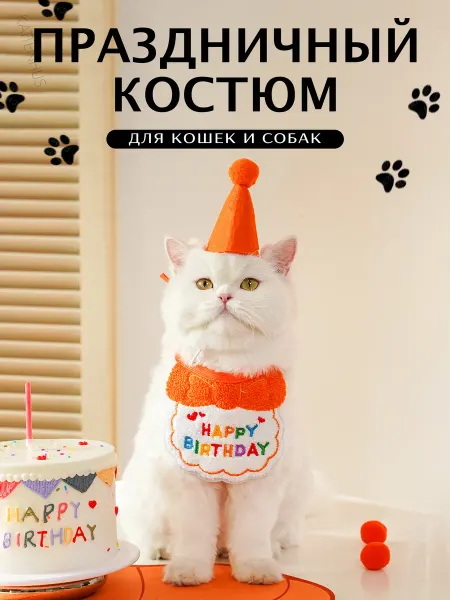 KATTENHUS Костюм для кошек и собак праздничный на День Рождения