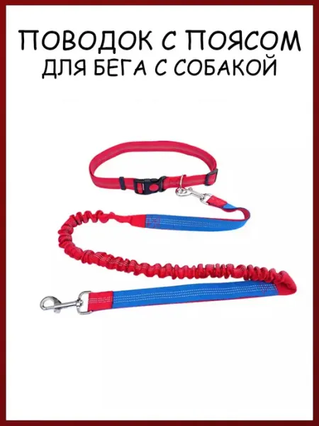 Mirestra Поводок-перестежка для собак с поясом