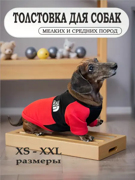 The pet Толстовка для собак мелких и средних пород