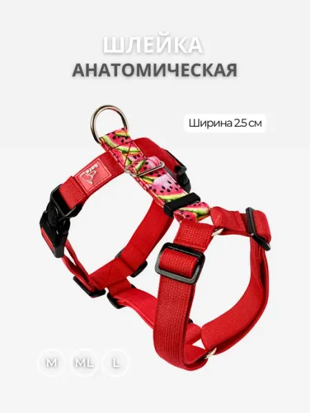 Rafa Petshop Шлейка анатомическая для собак (двойная стропа)