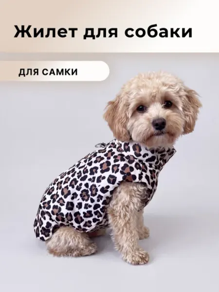 Pichi Жилет утепленный для собаки