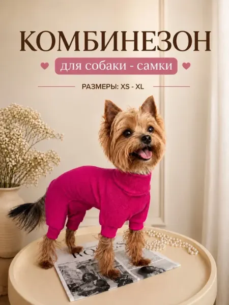 Pichi Комбинезон трикотажный для собаки самки
