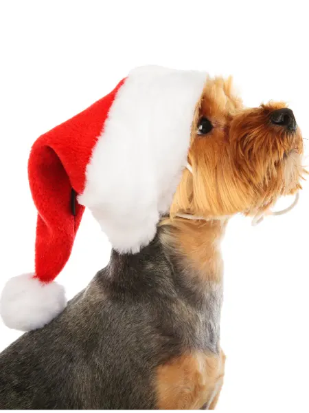 PUPPIA Новогодняя шапка для собак "Santa"