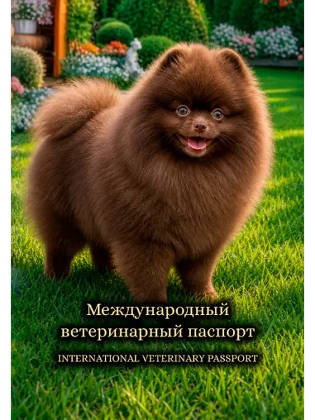 StarHoll Ветеринарный паспорт с аудио-записью померанский шпиц