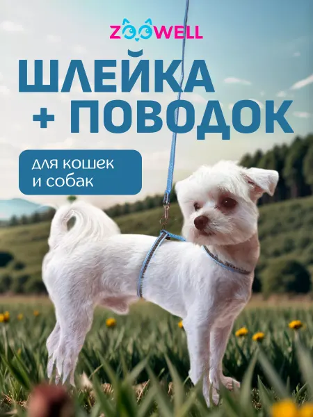 Zoowell Прогулочная шлейка для кошек и котят