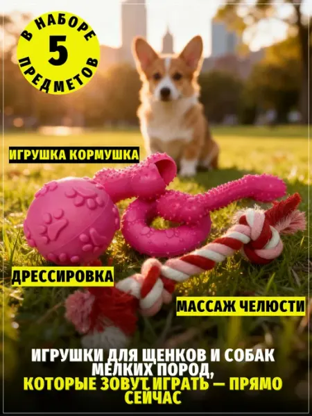 ЗООГЕНИЙ Набор прочных игрушек для активных собак и щенков