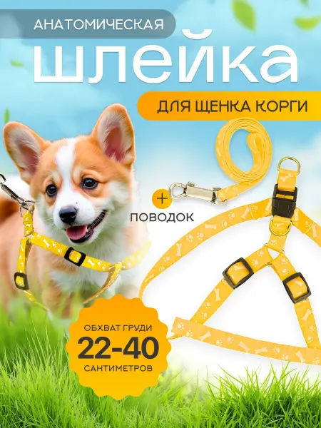 Анатомическая шлейка для щенка корги с поводком