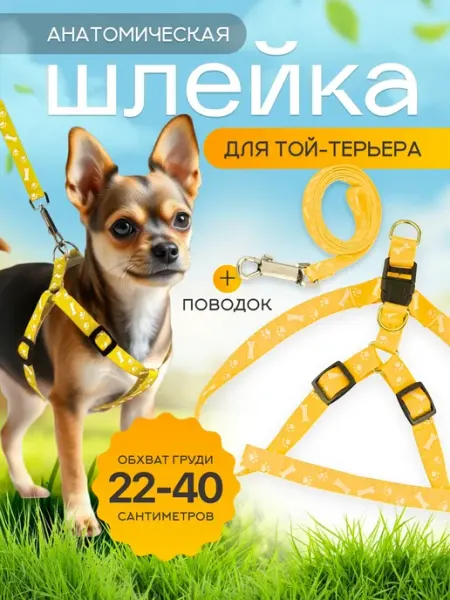 Анатомическая шлейка для той-терьера с поводком