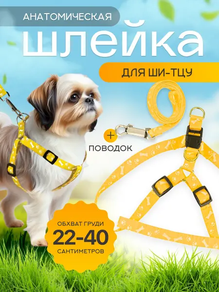 Анатомическая шлейка для ши-тцу с поводком