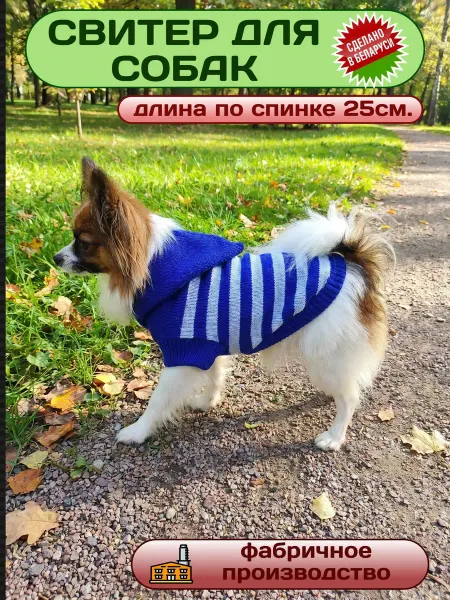 ГЮ-ВАС Одежда для собак мелких пород Свитер с капюшоном