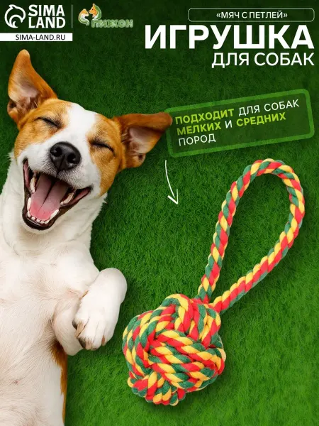 Пижон Канатный мяч с петлей для животных, цвет микс