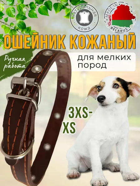 Умный Хвост Ошейник для собак кожаный