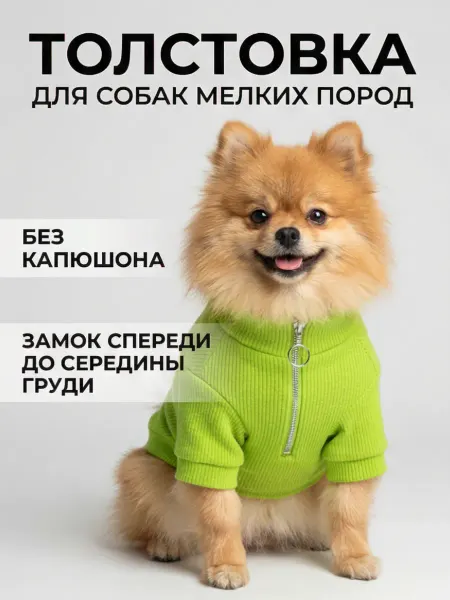Толстовка для собак мелких пород утепленная