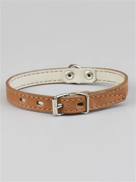 LuckyDog ОШ 20-25 см Ошейник Ошейник для собак