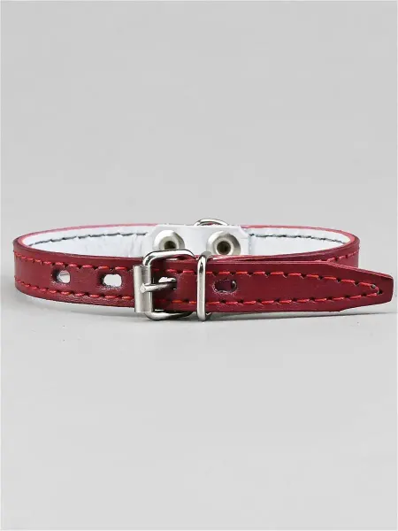 LuckyDog ОШ 20-25 см Ошейник Ошейник для собак