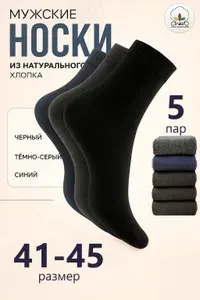 Носки Алйша мужские Клаccик, 5 пар