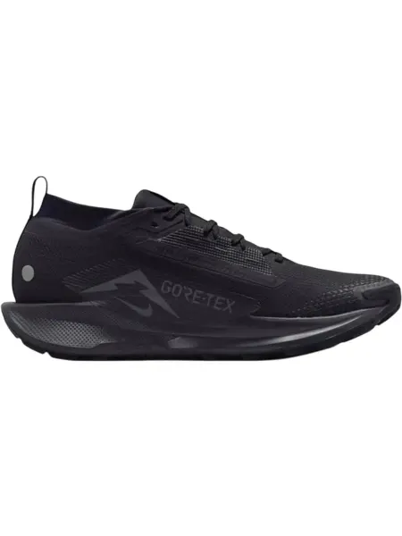 Nike Кроссовки для Trail бега Pegasus Trail 5 GORE-TEX