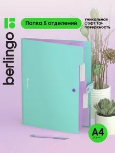 Папка для документов А4, органайзер 5 отделений, семейная, на кнопке