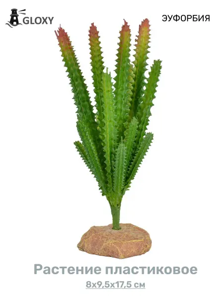 GLOXY Растение пластиковое для террариума Эуфорбия, 8х9,5х17,5 см