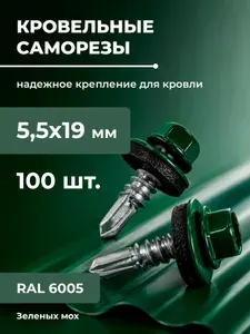 Саморезы кровельные 5,5х19 мм (RAL 6005) зеленый мох 100 шт.