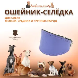 Ошейник-селедка сиреневый для собак из натуральной кожи Зоовитаминка. Обхват шеи 28-32 см, ширина 6,5 см