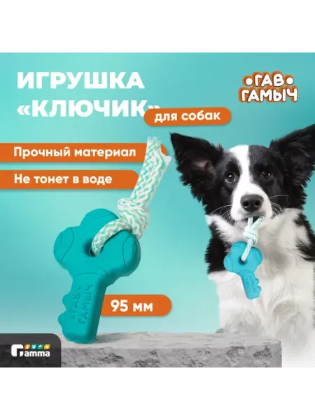 GAMMA Игрушка для собак Ключик с веревкой 9.5*6см
