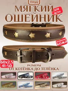 Ошейник для собак кошек 60х2,5см коричневый со звёздами мягкий