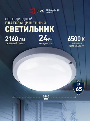 Светильник светодиодный влагозащищенный ЭРА SPB-201 IP65 24Вт 6500K круглый